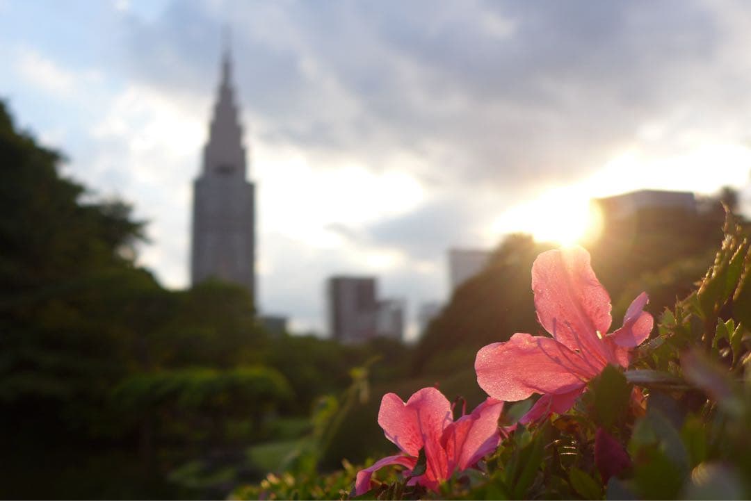 Leicaのロマン F1.4大口径で吠える！ポケットの猛獣 D-LUX 6セット