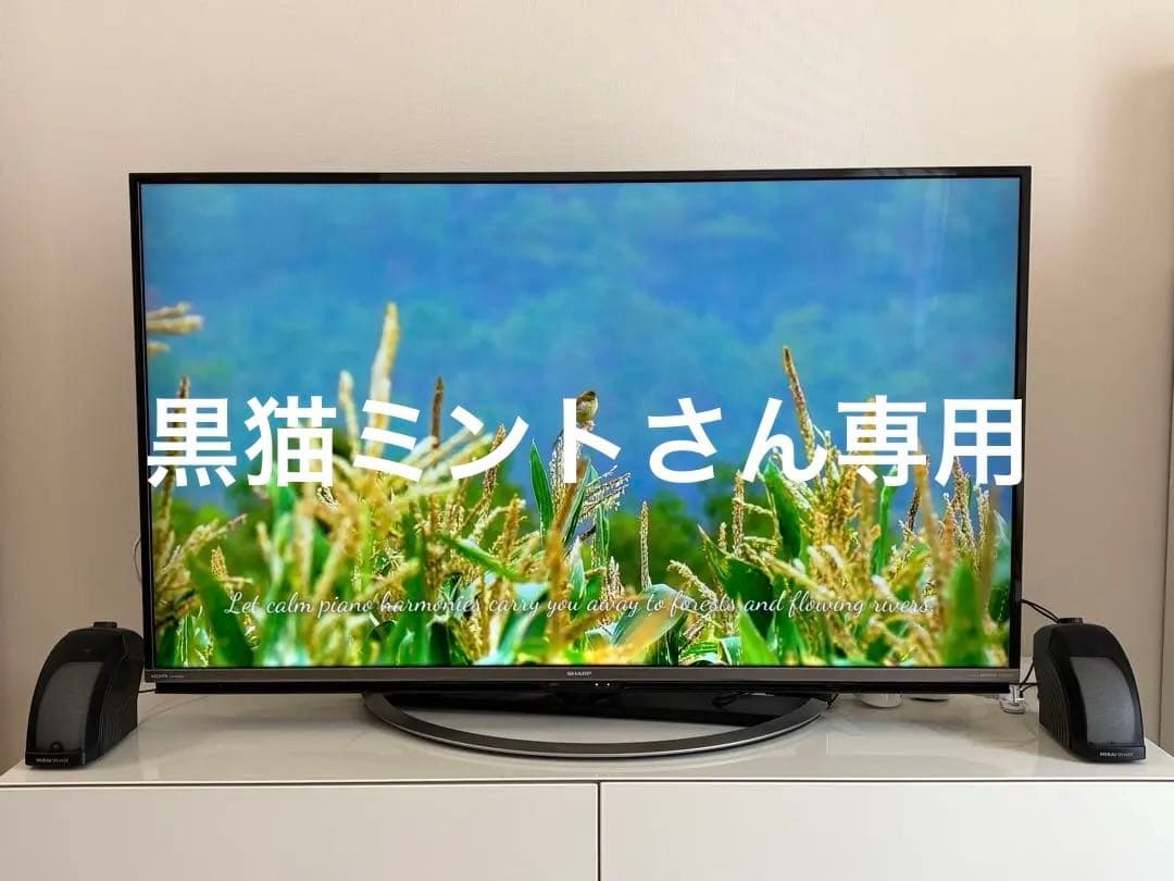 SoundFun ミライスピーカー SF-MIRAI 5