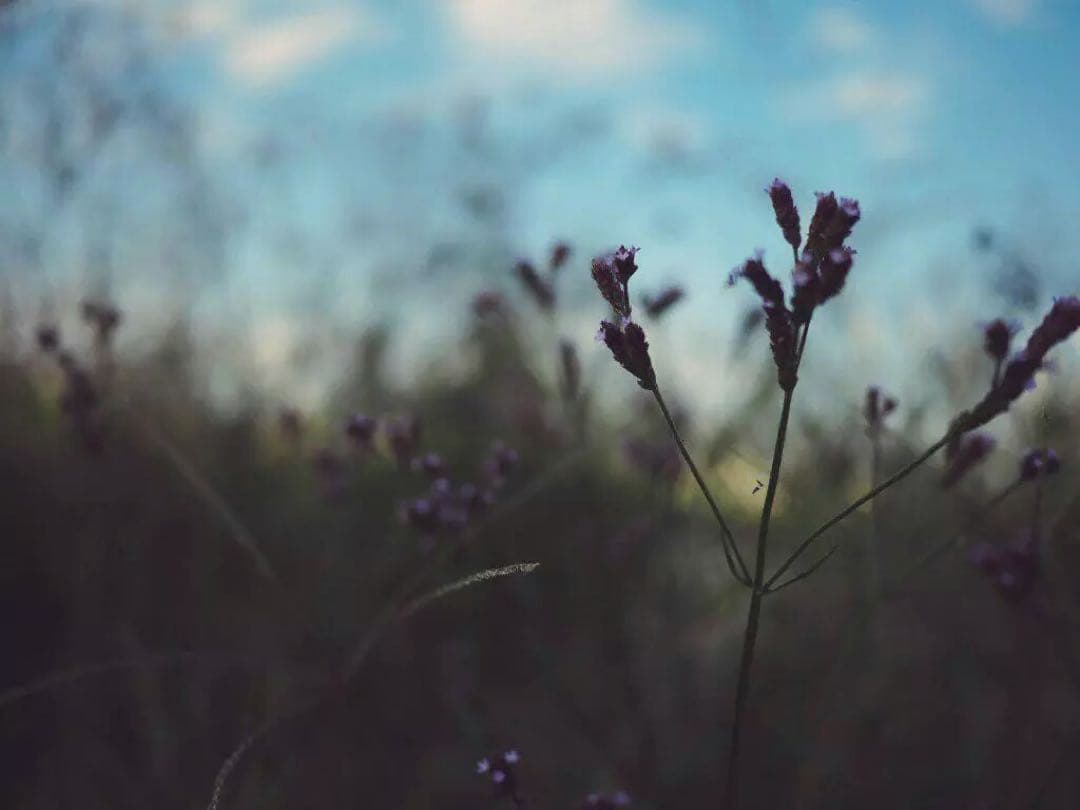 Gちゃんページです୨୧