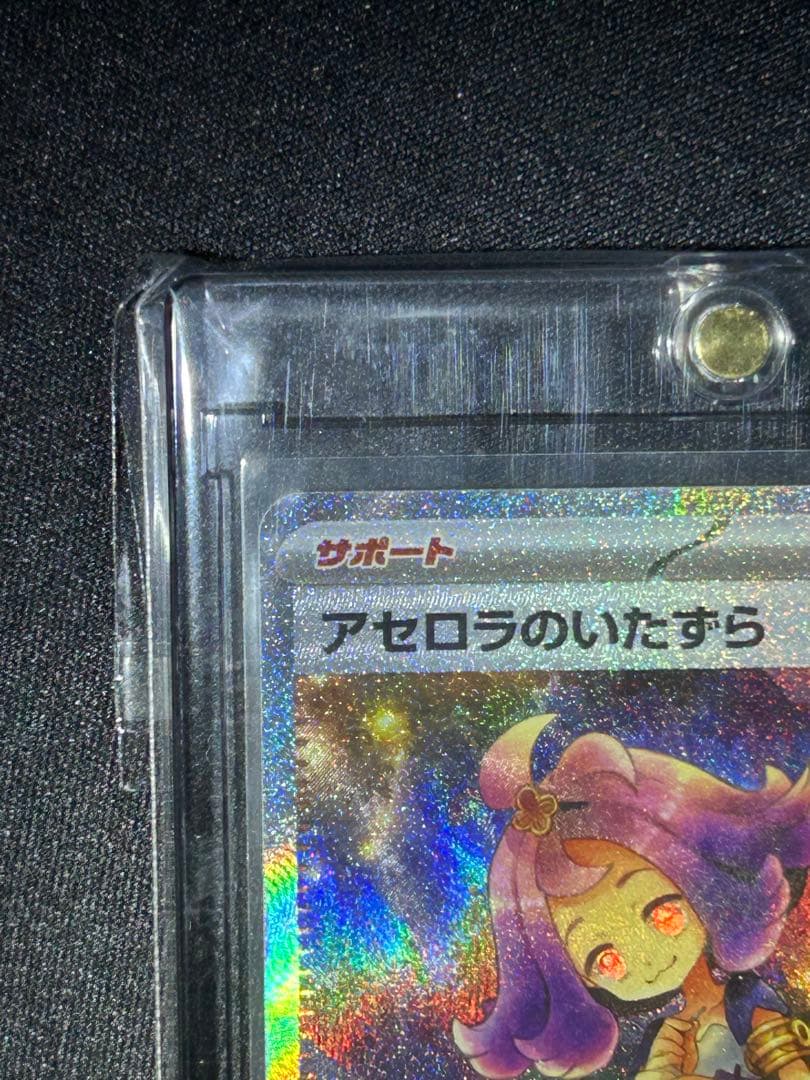 アセロラのいたずらSAR