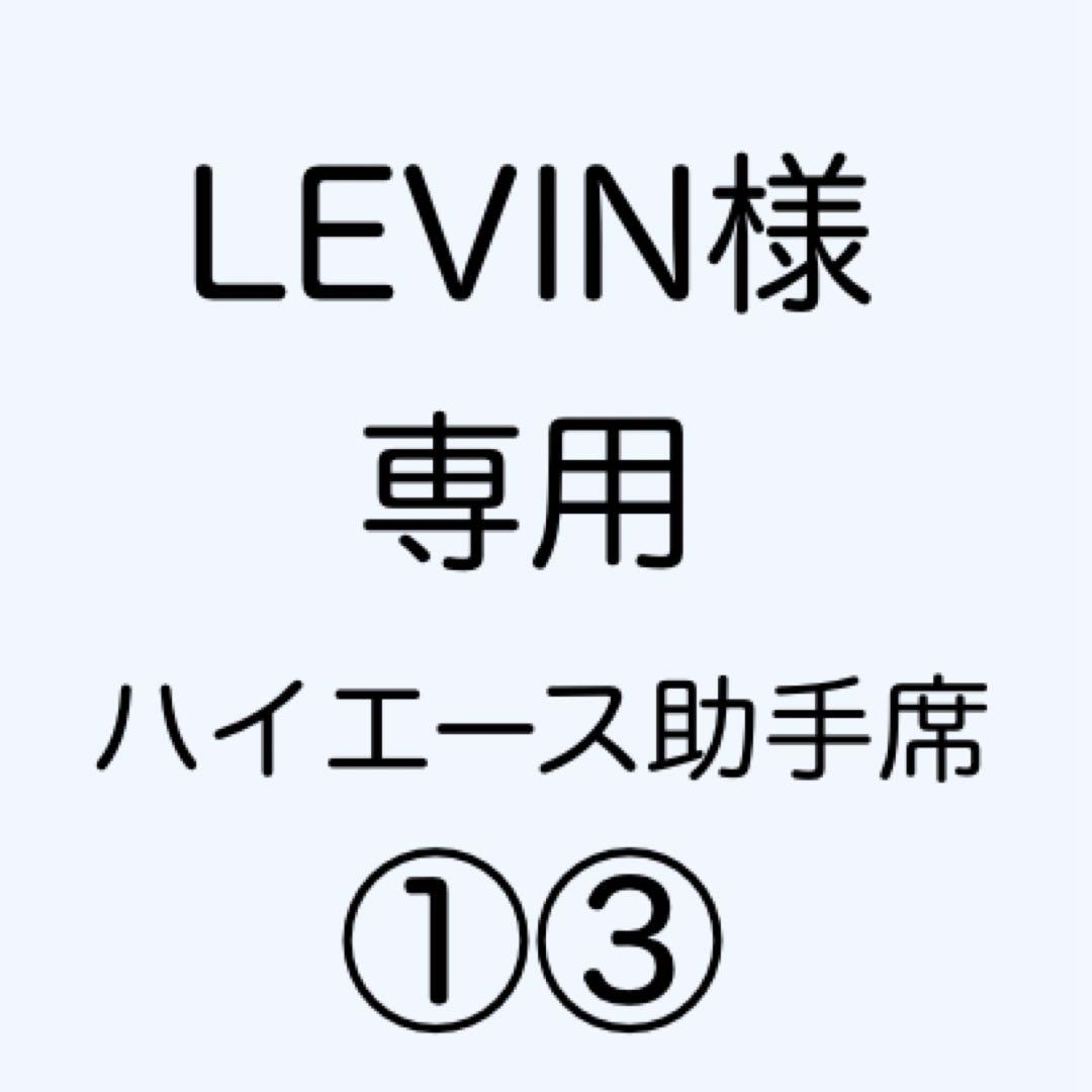 [専用出品]LEVIN