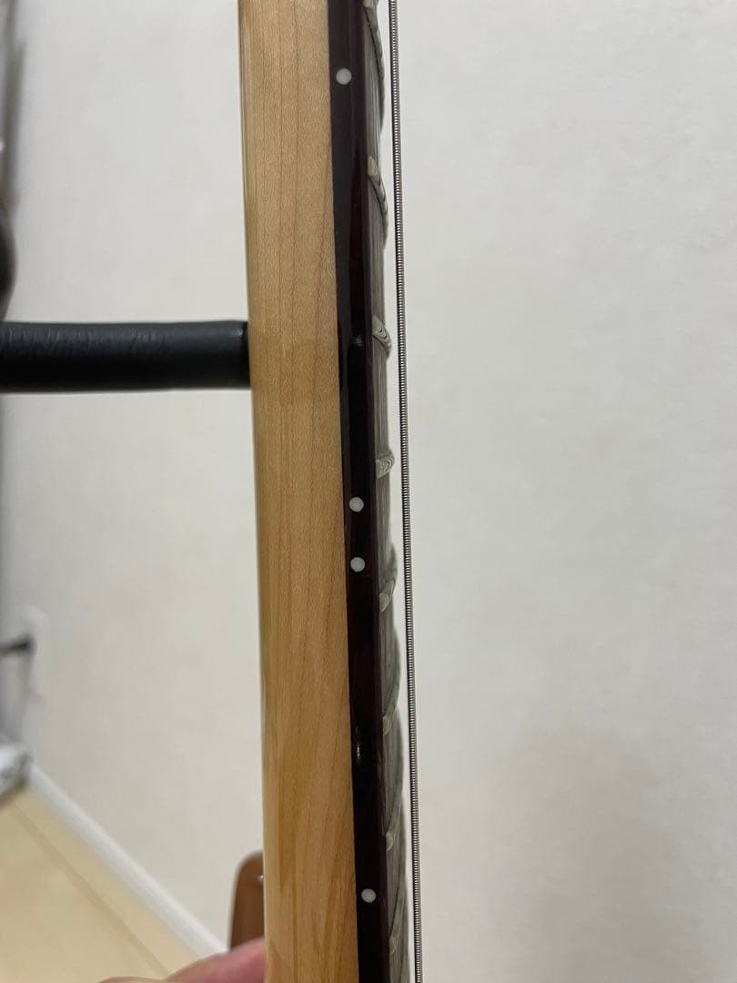 ギター PRS SE custom24