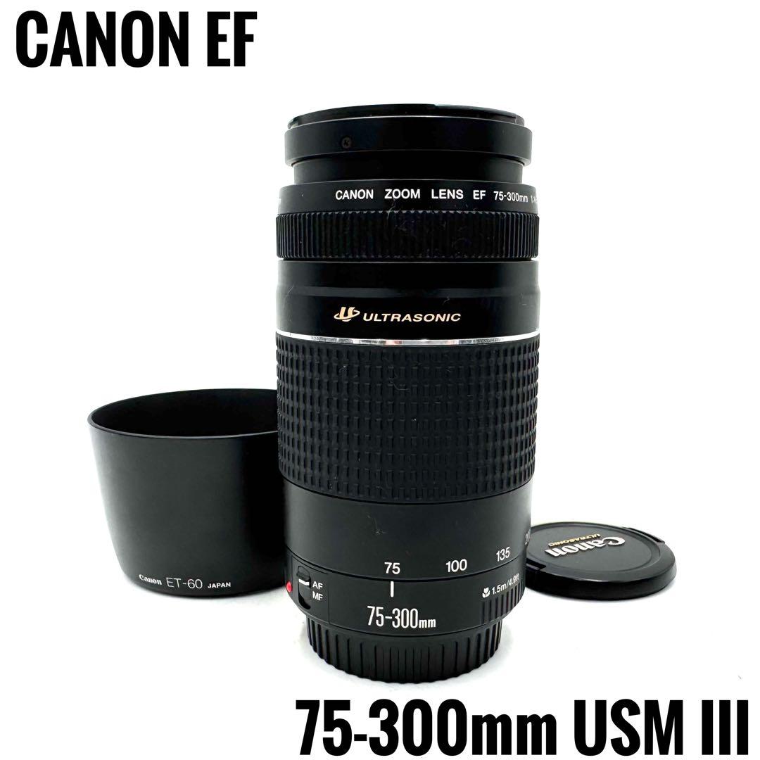 美品！Canon EF 75-300mm F4-5.6 III USM キャノン