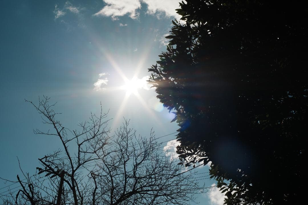 【箱付き】Carl Zeiss Planar 50mm F1.4 MMJ 647