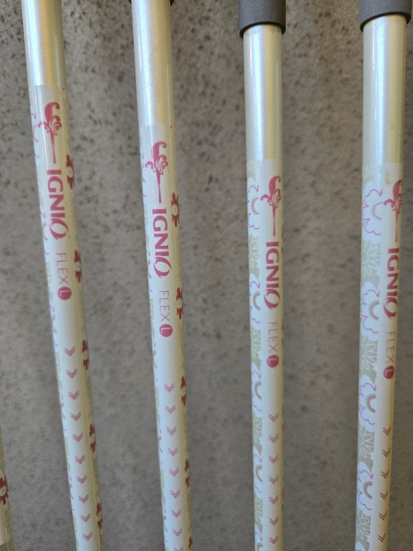 IGNIO　イグニオ　レディースゴルフ10本セット　FLEX-L　初心者ゴルフ