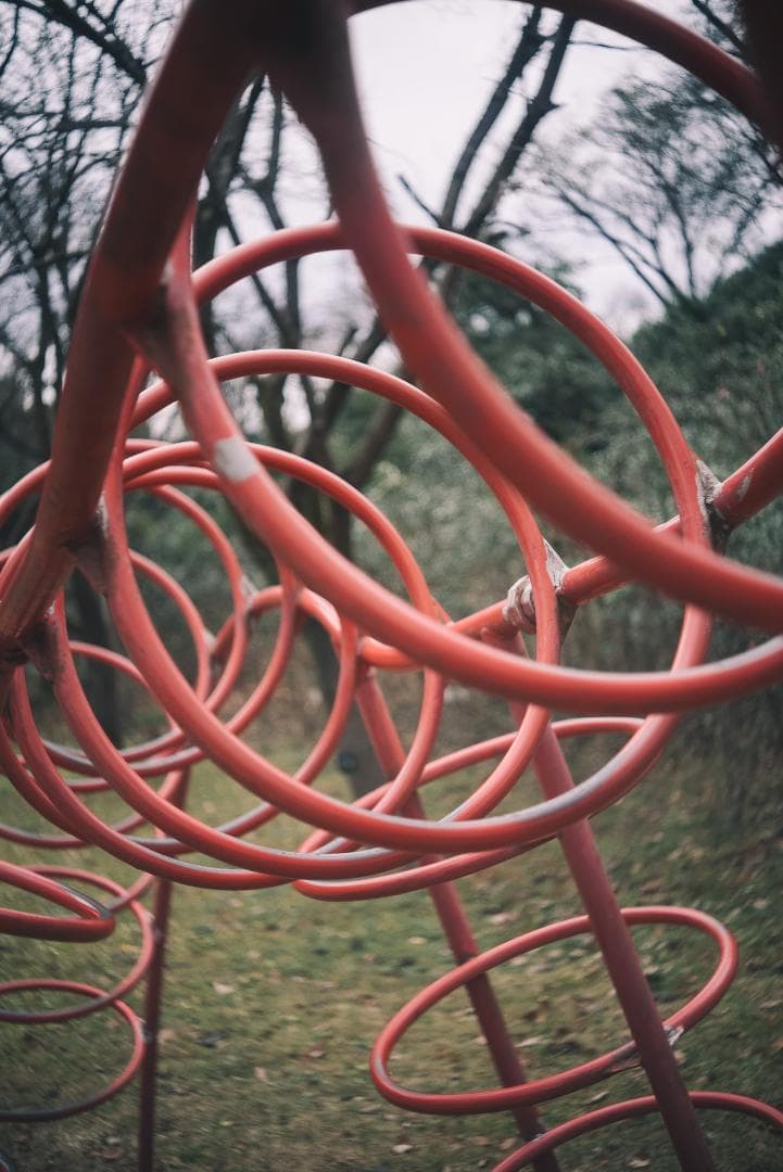 梅鉢！千代田光学 SUPER ROKKOR 45mm f2.8