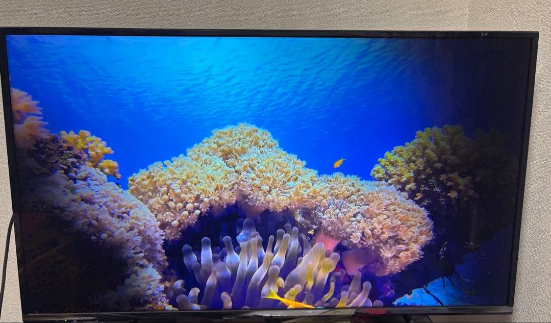 高画質 薄型液晶テレビ 大画面