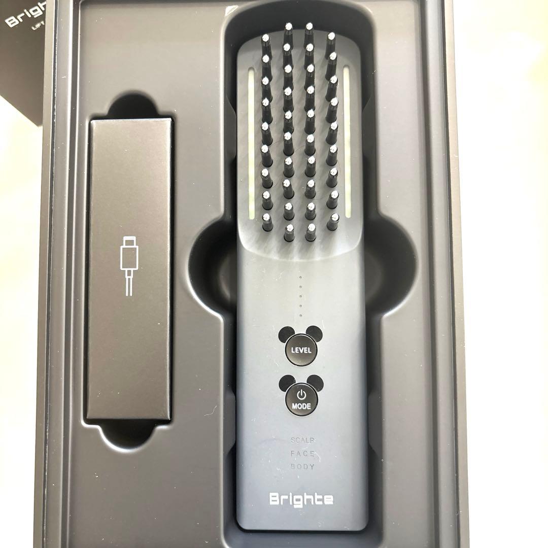 Brighte ELEKILOTON 美顔器 ミッキー