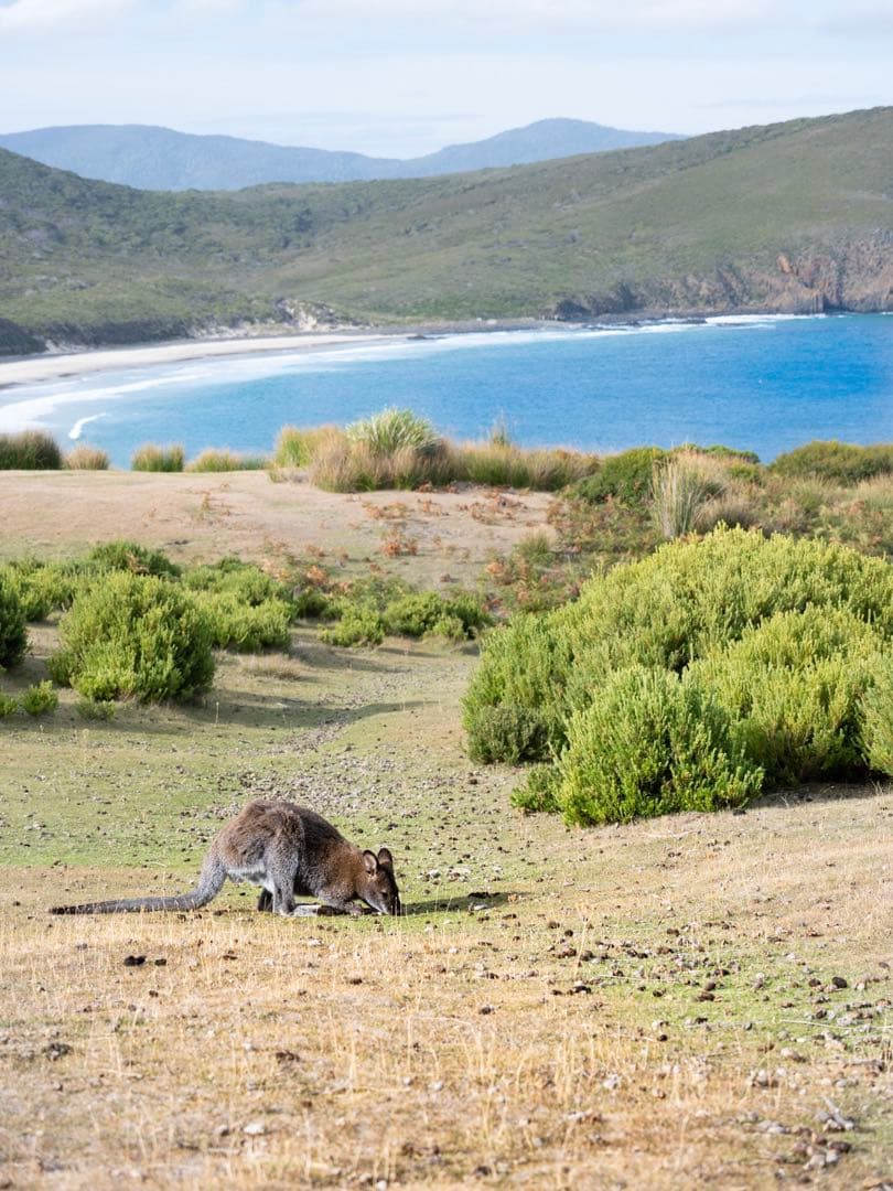 Nikon DX 16-50mm & 50-250mm ズームレンズセット