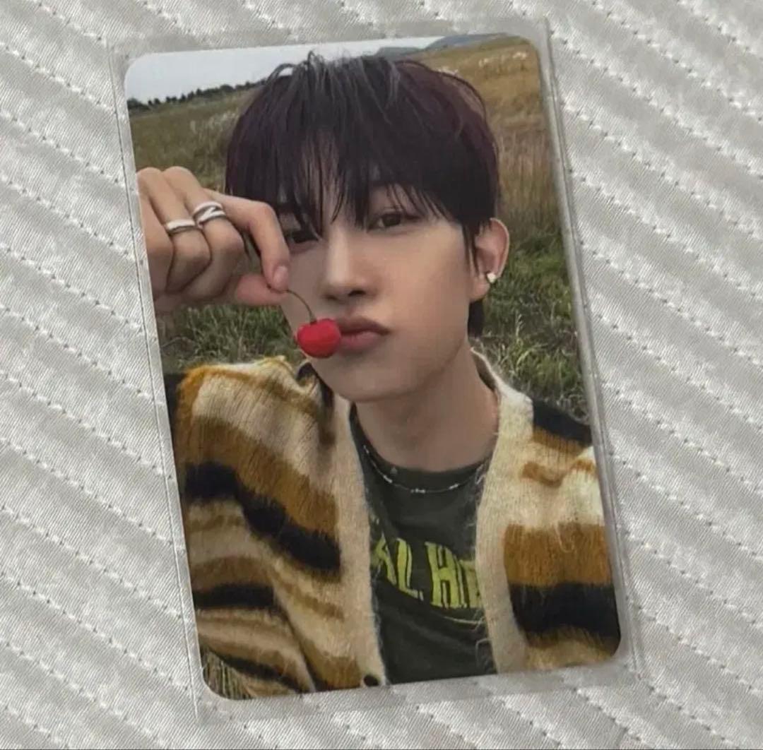 ALD1 サノク トレカ ゴヌ