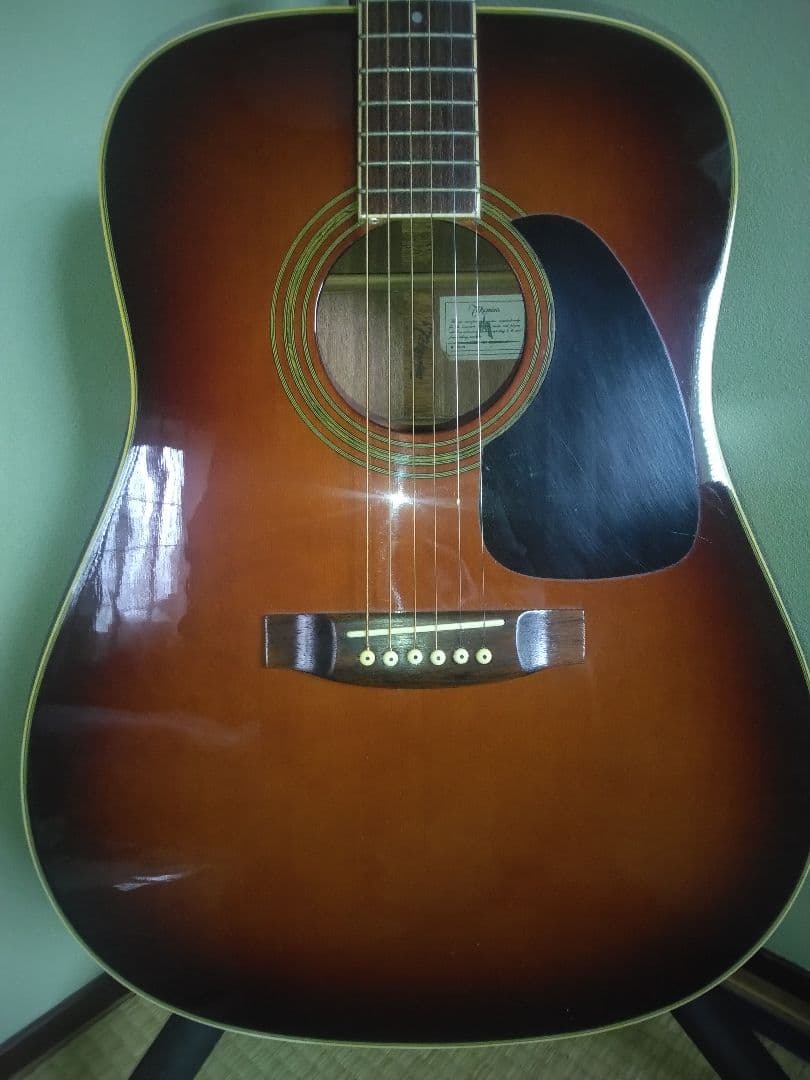 タカミネギター