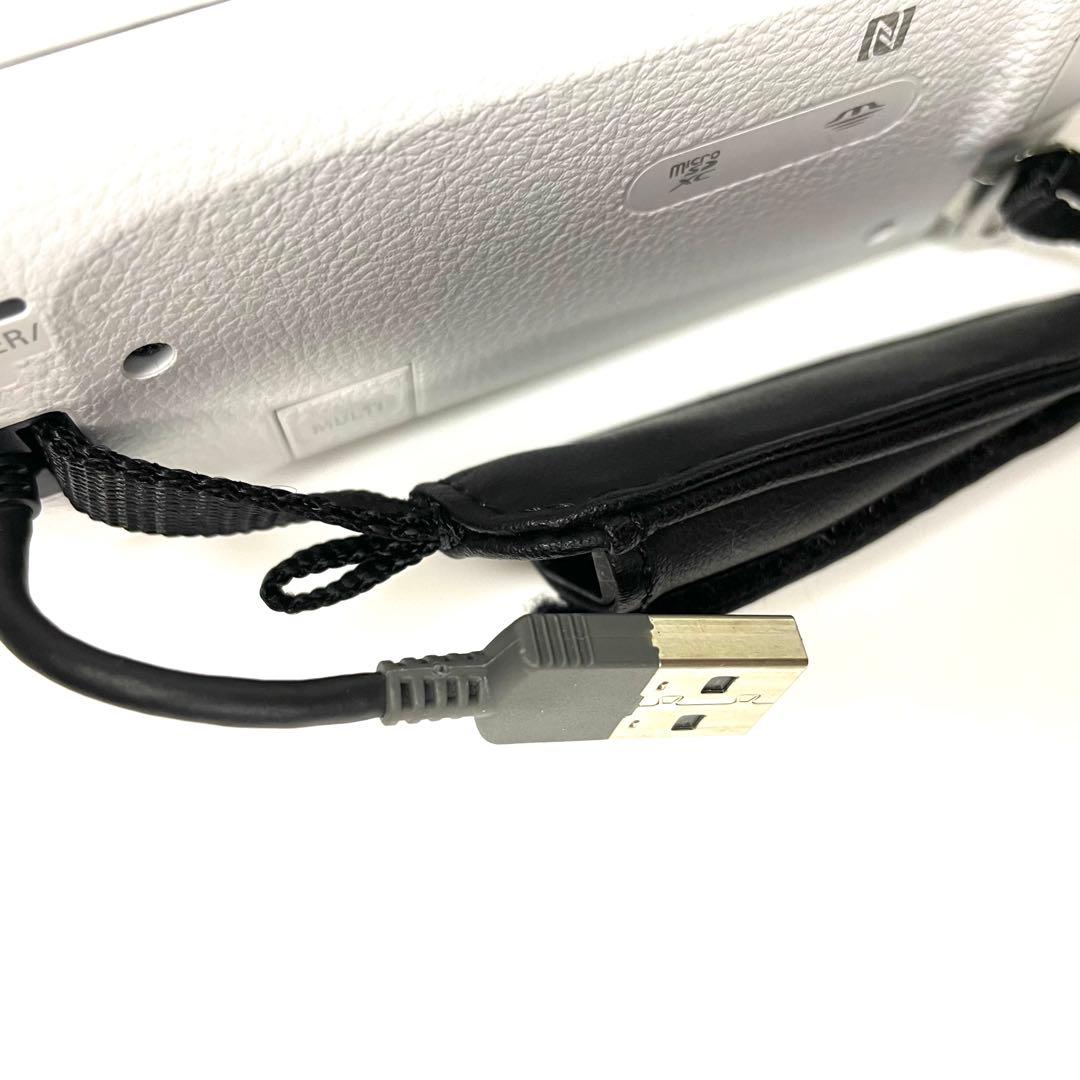 【未使用級】 SONY HDR-CX670 ソフトケース付き ハンディカム