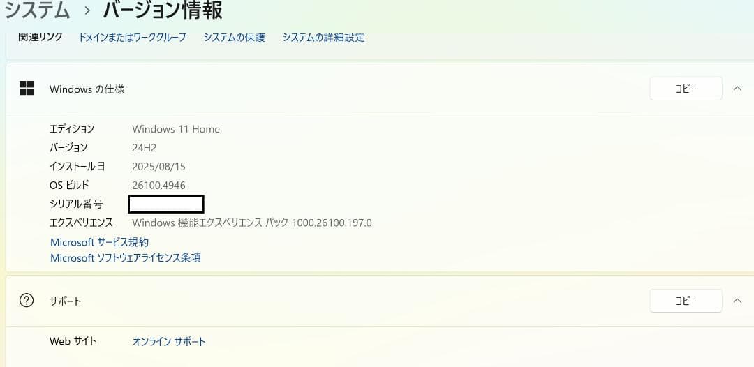 Surface Pro 7+ タイプカバー同梱 (美品)