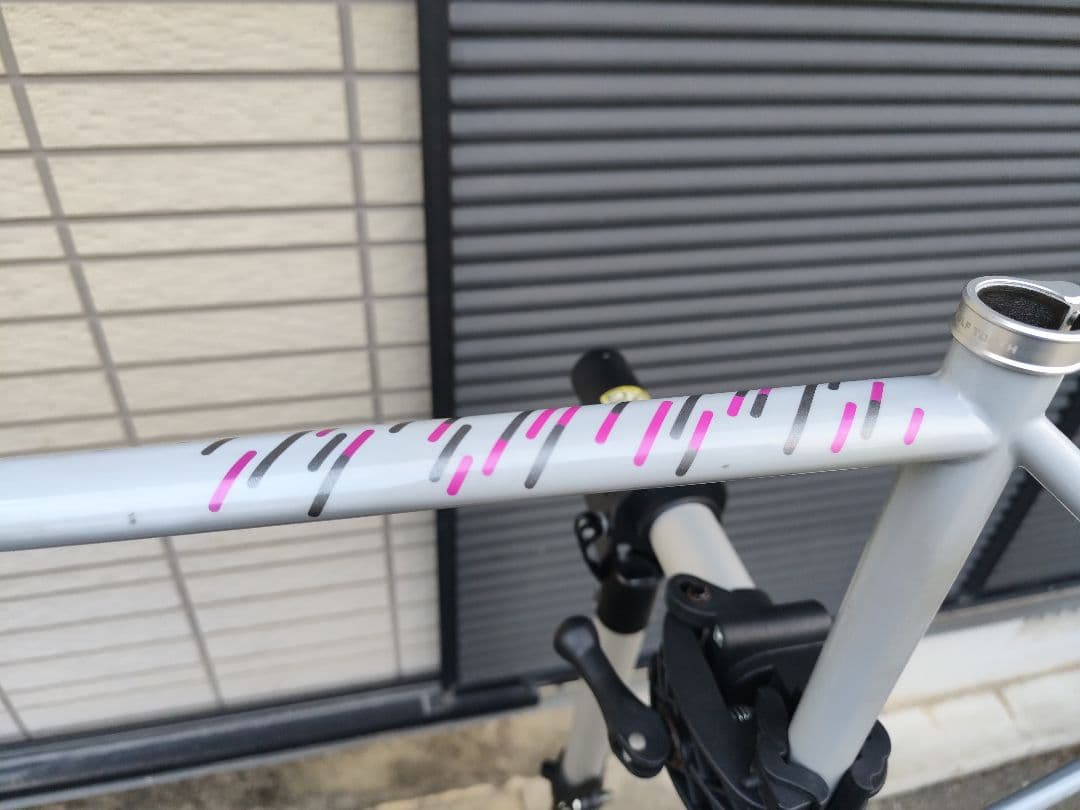 Fairlight Cycles SECAN フレームセット 54T