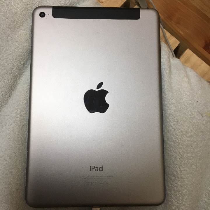 iPad本体 iPadmini