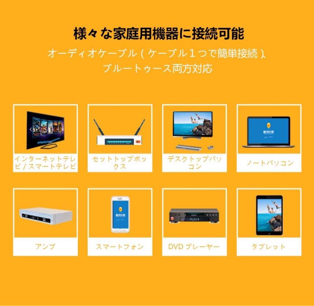 カラオケマイク 家庭用カラオケシステム ワイヤレスマイク マイク2本 無線接続