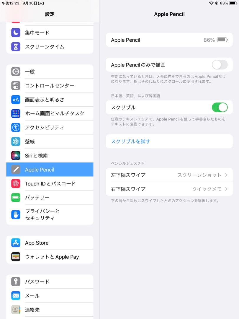 Apple iPad シルバー 9.7インチ カバーApplepencil付き