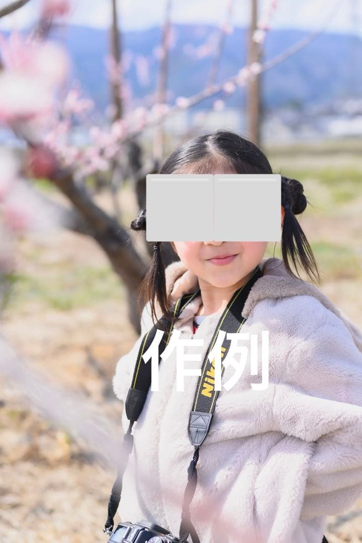 タイムセール⬜️Nikon Z 5 ボディ（即発送可能）⬜️