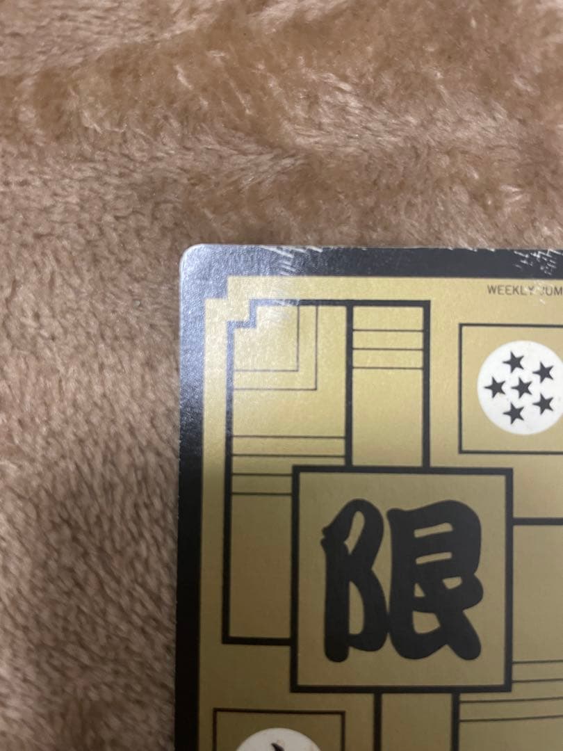 ドラゴンボールカードダスめちゃんこプロジェクトNo.Ⅵファミリー