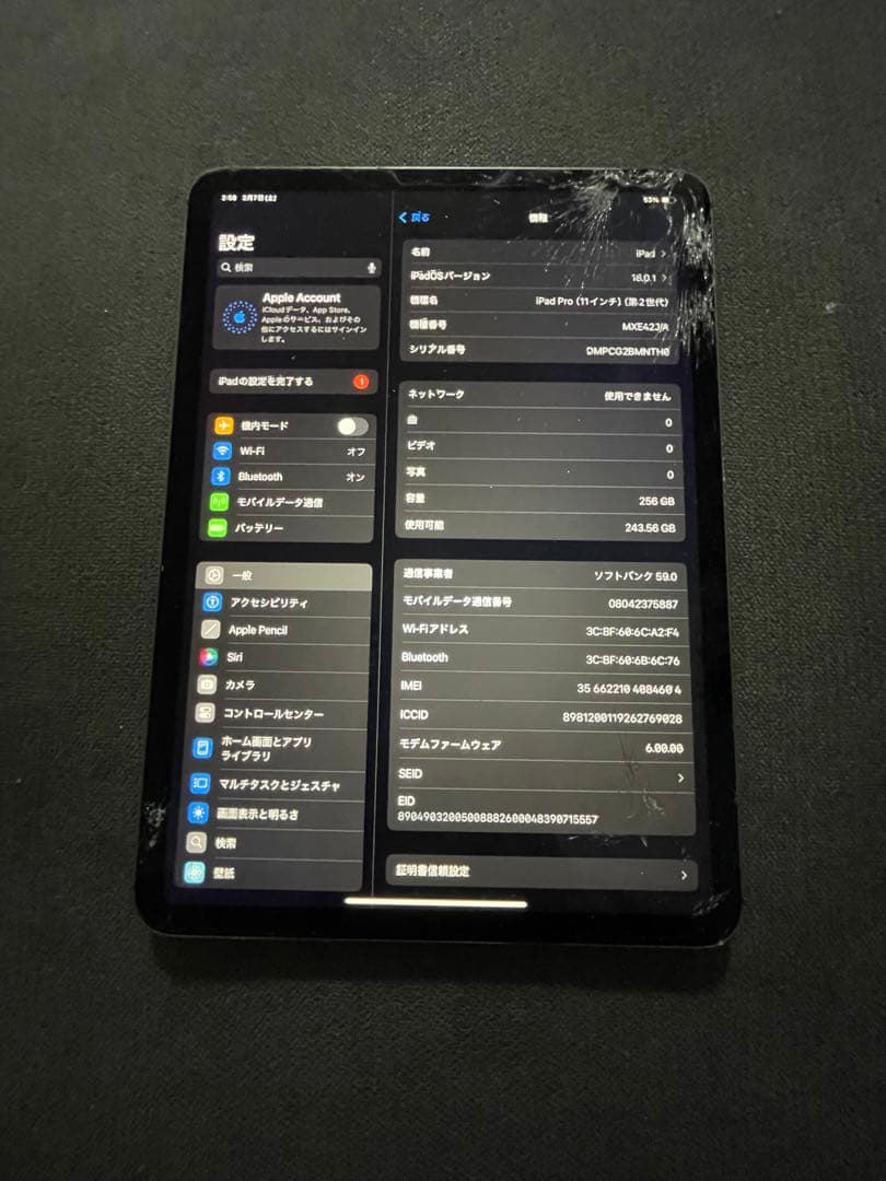 た*ん様 ipad pro 11 2世代　256GB セルラーモデル　完動品