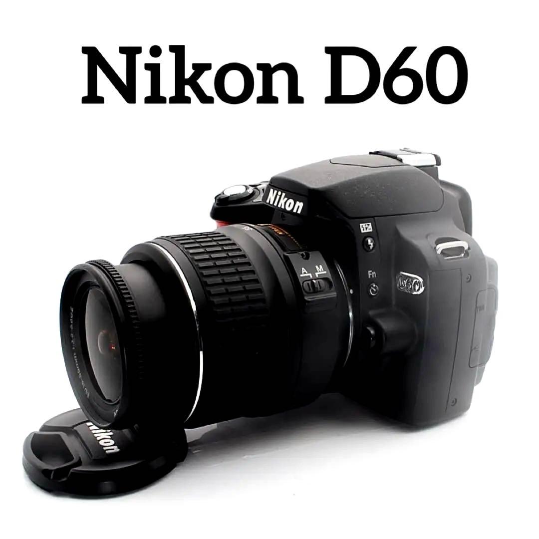 Nikon D60 美品 標準レンズ バック・アルバム付
