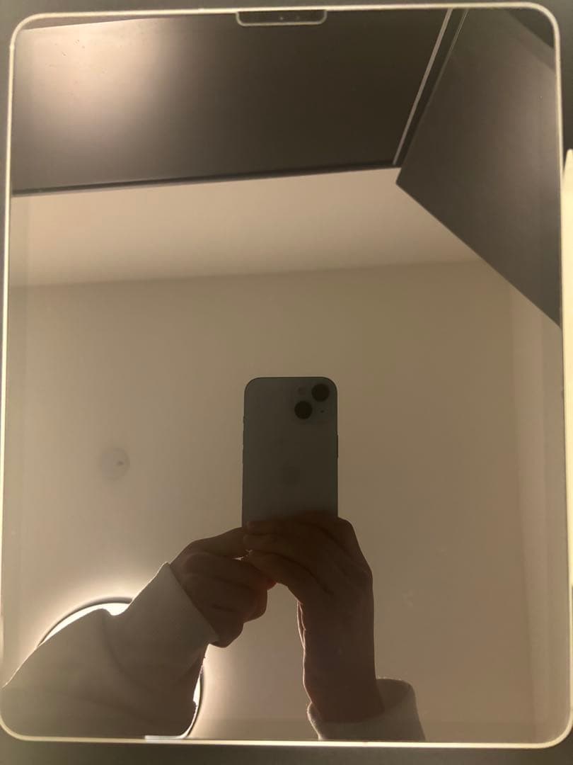 Apple iPadPro12.9インチ（第4世代）Apple Pencil付き