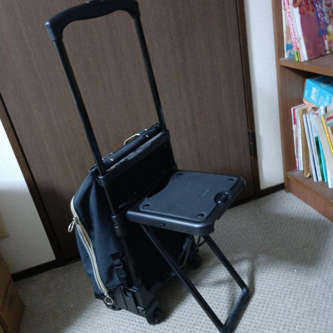 スワニー座面付キャリーバック
