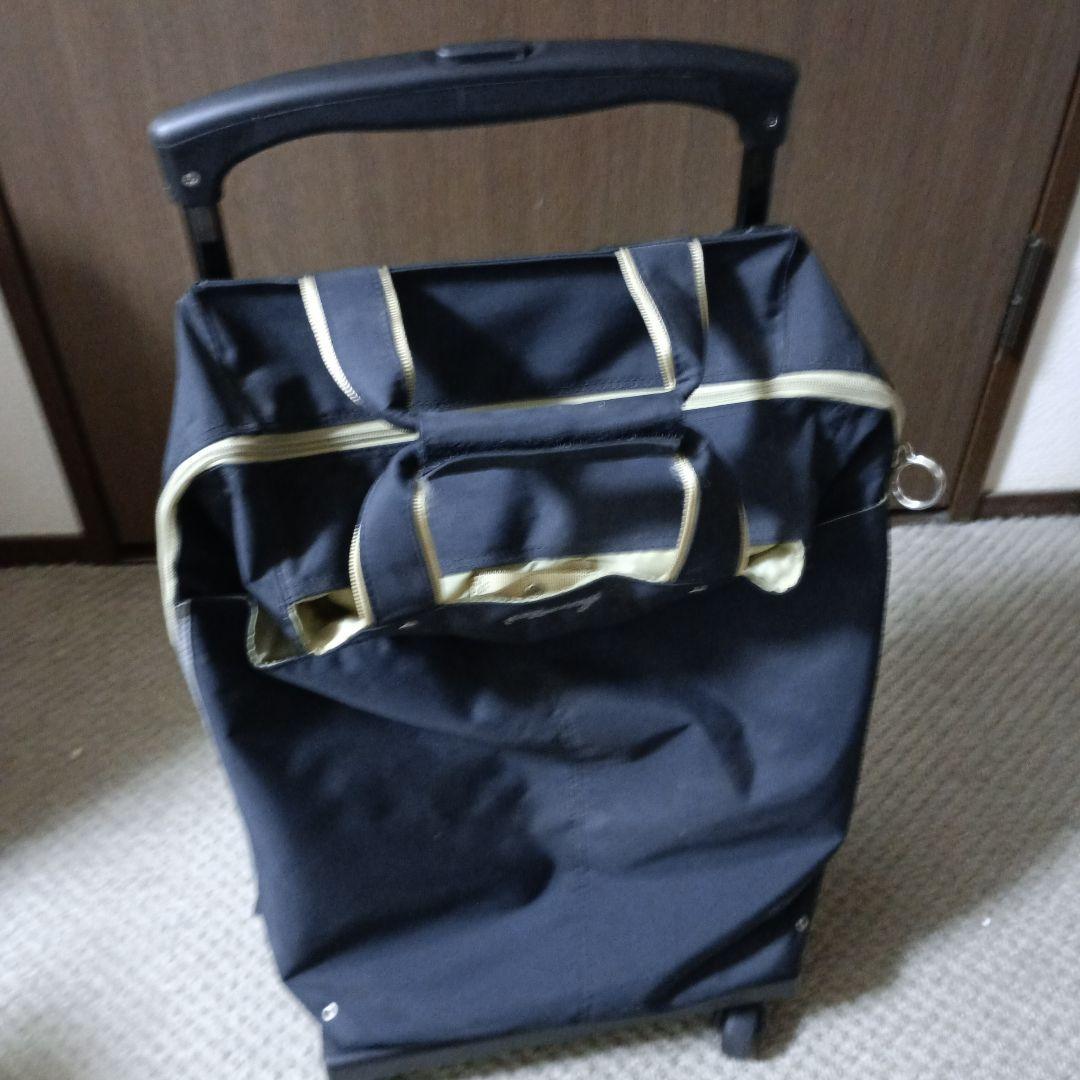 スワニー座面付キャリーバック