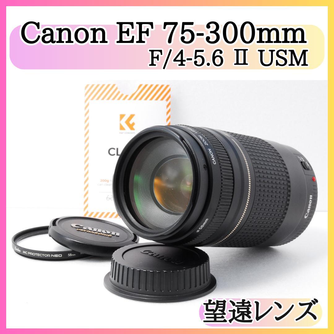 ✨美品✨ Canon キヤノン EF 75-300mm Ⅱ USM 望遠レンズ