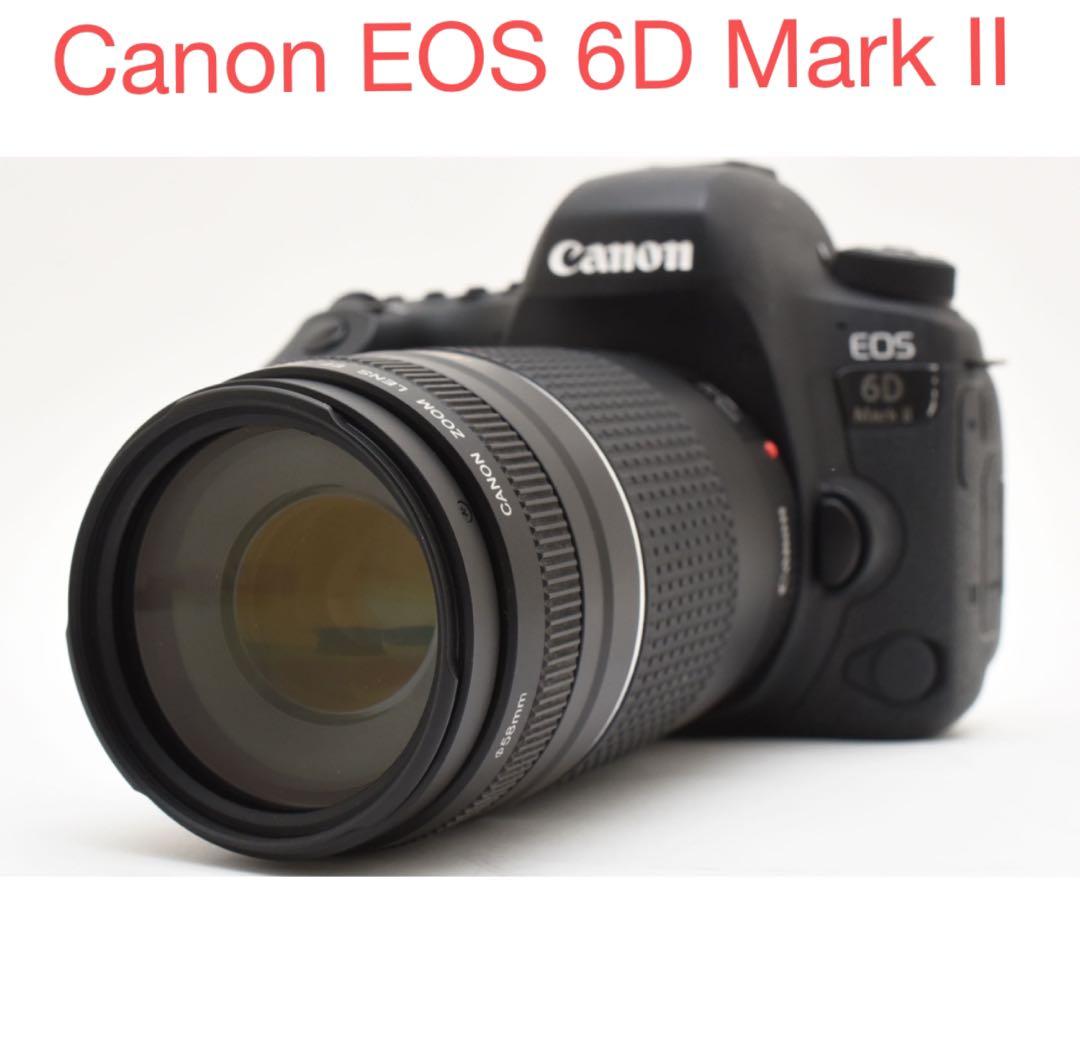 Canon EOS 6D Mark II レンズセット/Canon 75-300