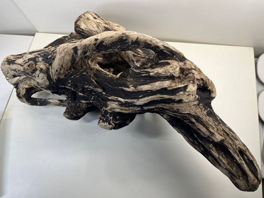 m46特大流木 大型流木 アク抜き済み 爬虫類シェルター レイアウト用 隠れ家