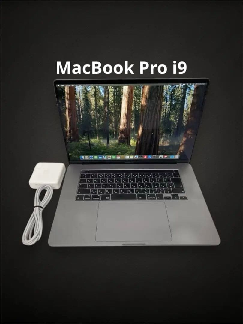 【バッタリー良好美品】MacBook Pro2019 i9 16inchインチ