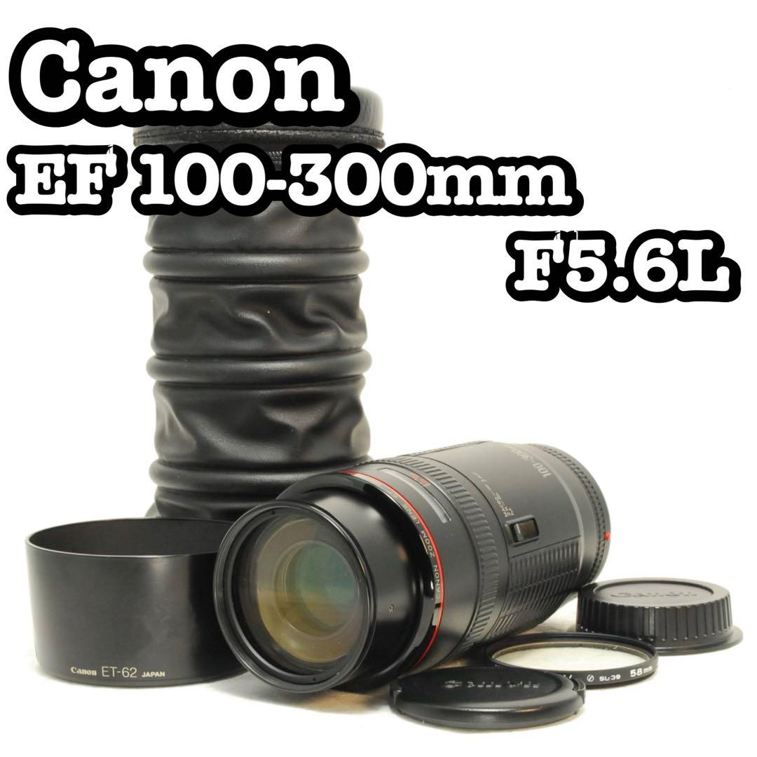 Canon EF 100-300mm F5.6L❤️望遠レンズ キヤノン 一眼レフ