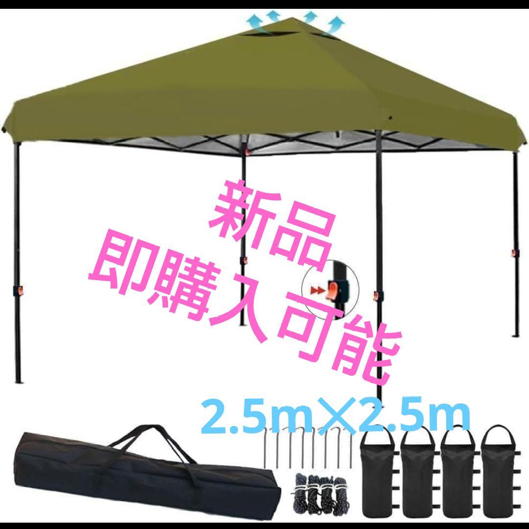 ⭐️簡単設営⭐️軽量 タープテント 2.5m×2.5m 収納バック キャンプ