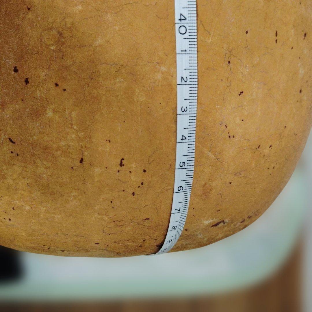 自立・イプヘケ高さ約50センチ①