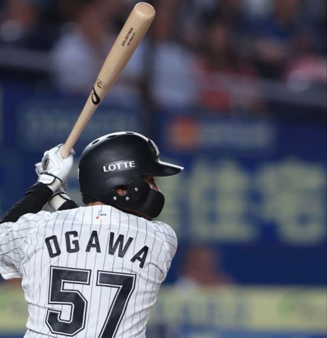 木*輔様 未使用有！NPB公認　硬式木製バット まとめ売り