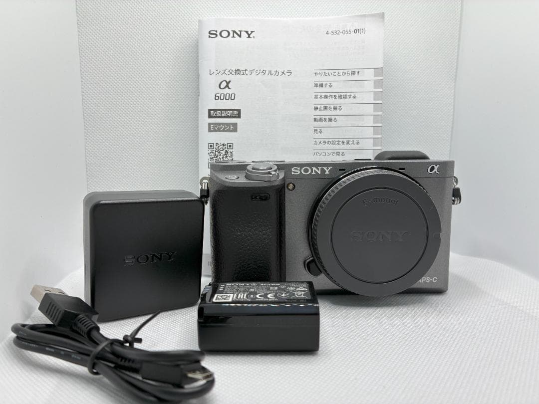 英語他多言語対応OK SONY α6000 silver ILCE-6000