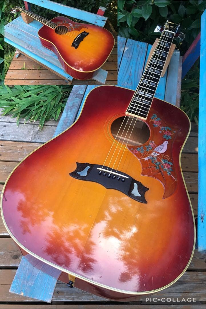 Rider J-300DS Model ライダー 林楽器