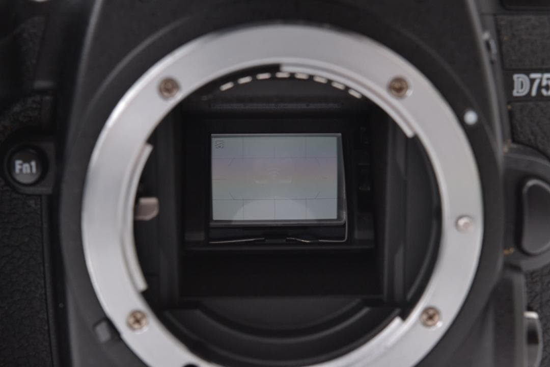 ■ 美品 ■ ニコン　Nikon D7500 ボディ ≪ S数6,247回 ≫