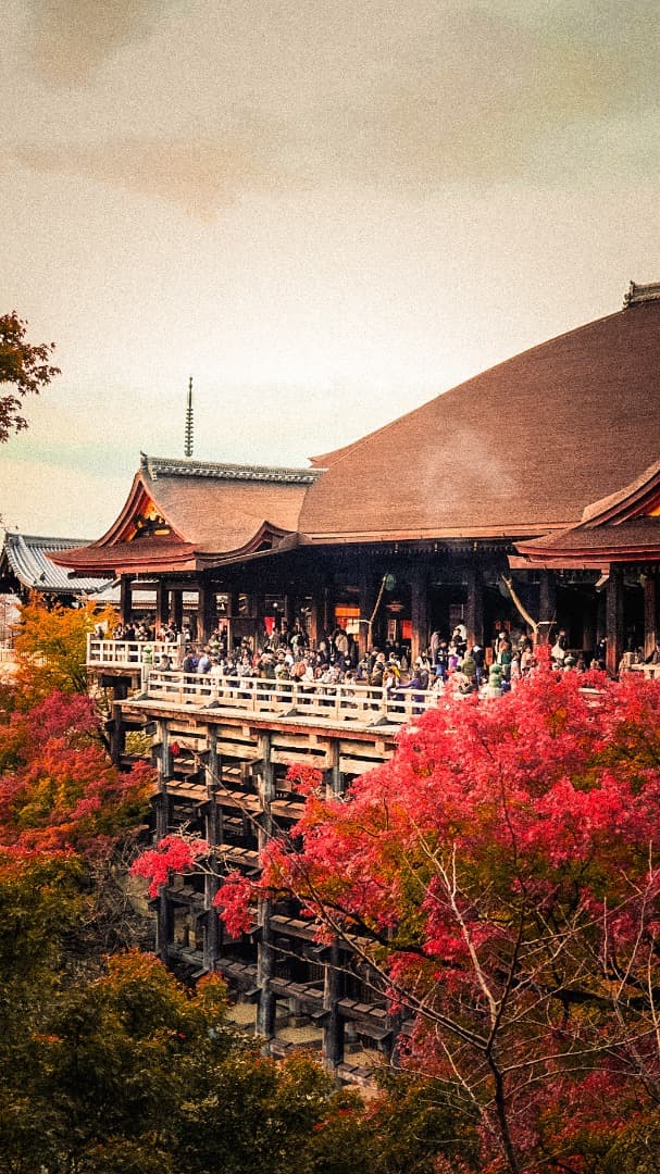 美品Sony a6400 INTERNATIONAL Sony 16-50mm