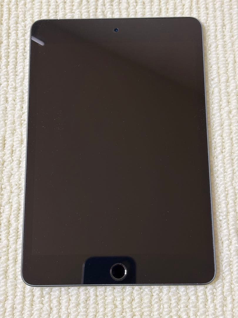 iPad mini5 256GB wifi+cellular スペースグレイ