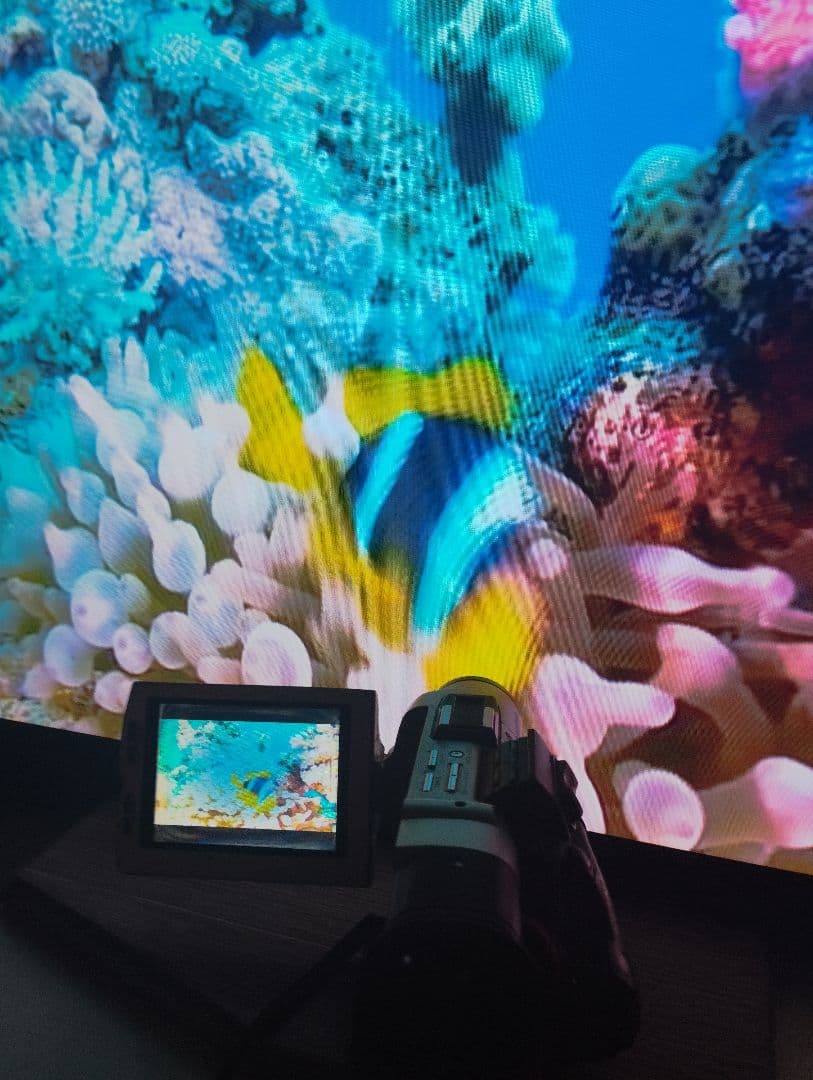 貴重なソニーの動作品 MiniDV ビデオカメラ DCR-TRV7 ミニdv