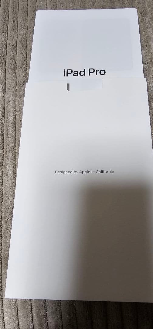 iPad本体 iPad Pro (M5) 11inch 256GB Wi-Fi apple