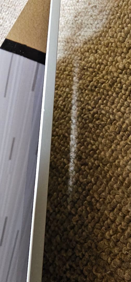 iPad本体 iPad Pro (M5) 11inch 256GB Wi-Fi apple