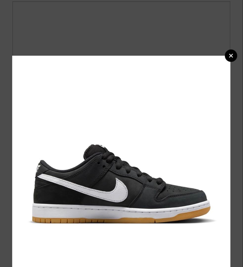 新品！箱付き Nike SB Dunk Low Pro