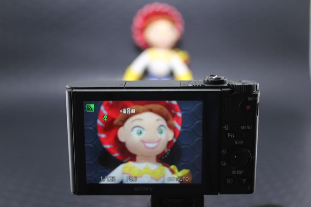 [美品] Sony Cyber-shot DSC-WX500 動作確認済