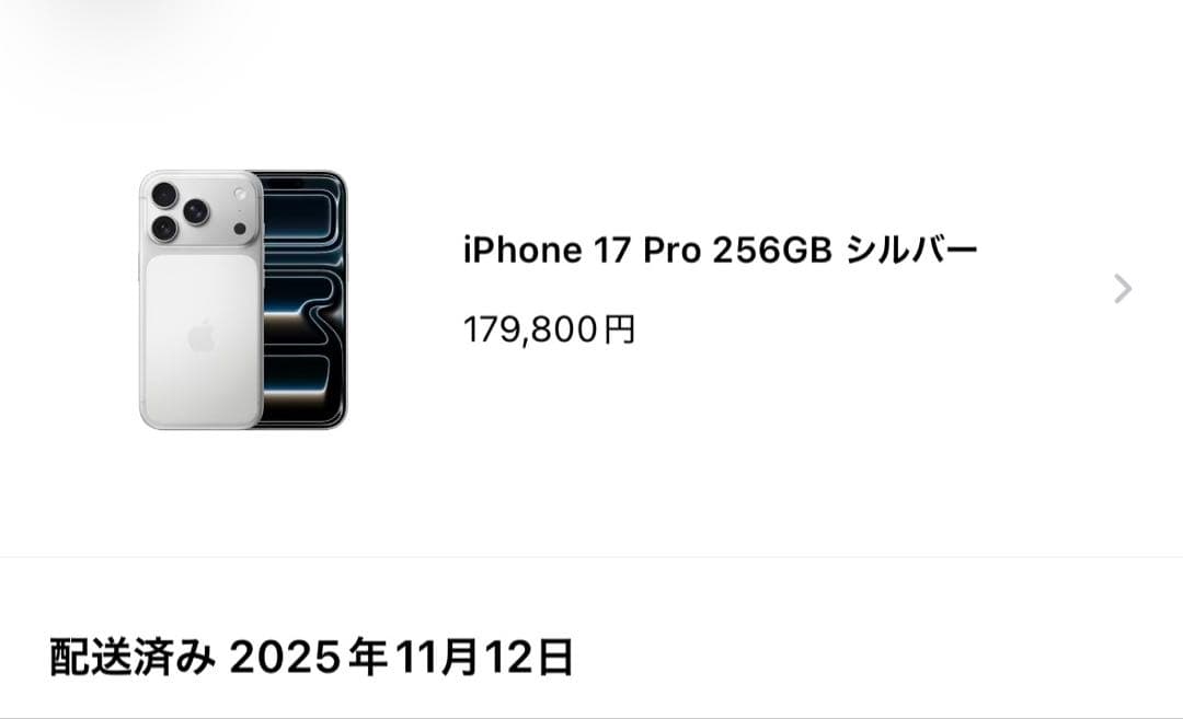 Apple iPhone17Pro シルバー
