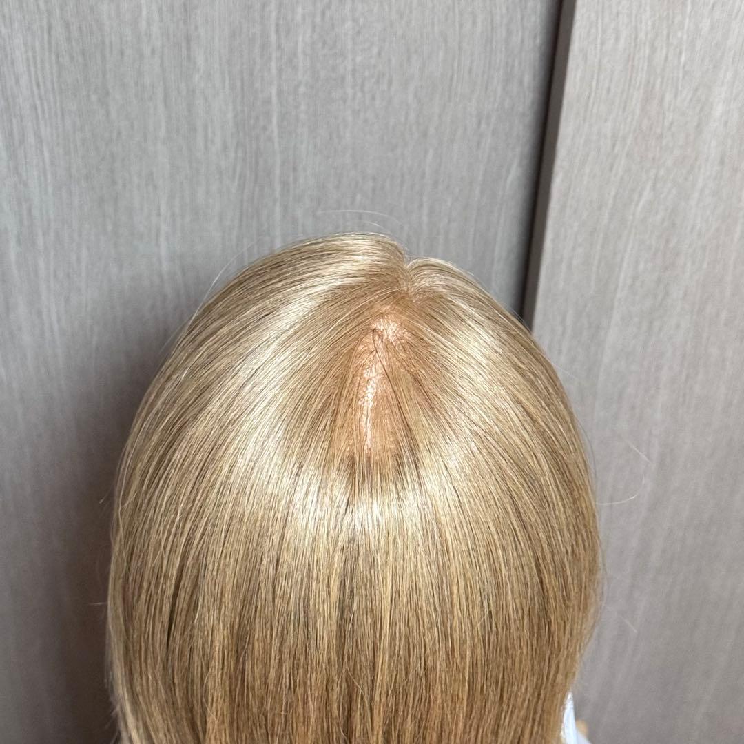 【美品】N.B.A.A.アップウィッグⅡブロンド ブラシ付き