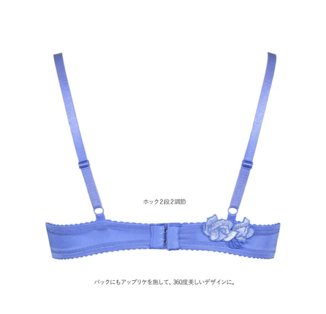 (価格変更しました❣️さらに値下げしました)サルートワコールランジェリー3点セット