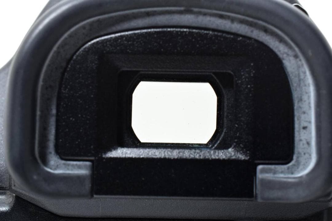 ショット数:15812回 Canon EOS-1Ds Mark II #1171